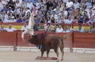 Marco Pérez abandona la plaza corneado