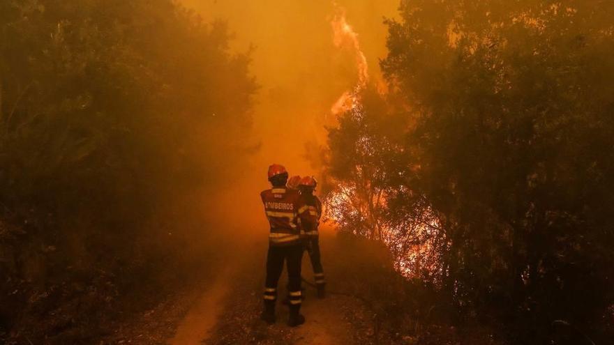 Bomberos portugueses luchan contra el fuego en Sandinha.