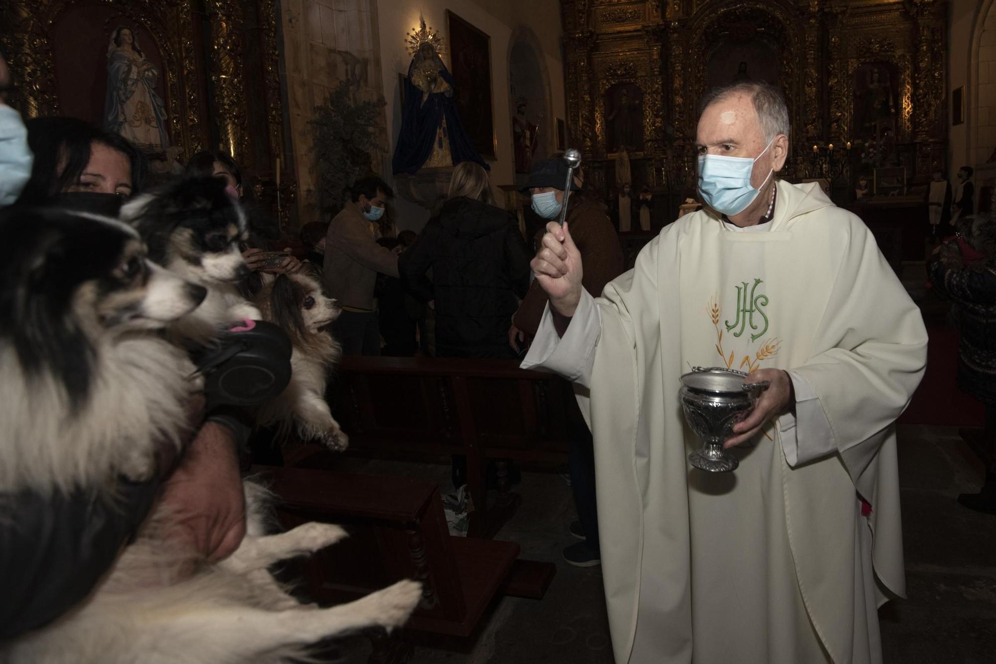 Bendición de mascotas en A Coruña por la festividad de San Antonio Abad