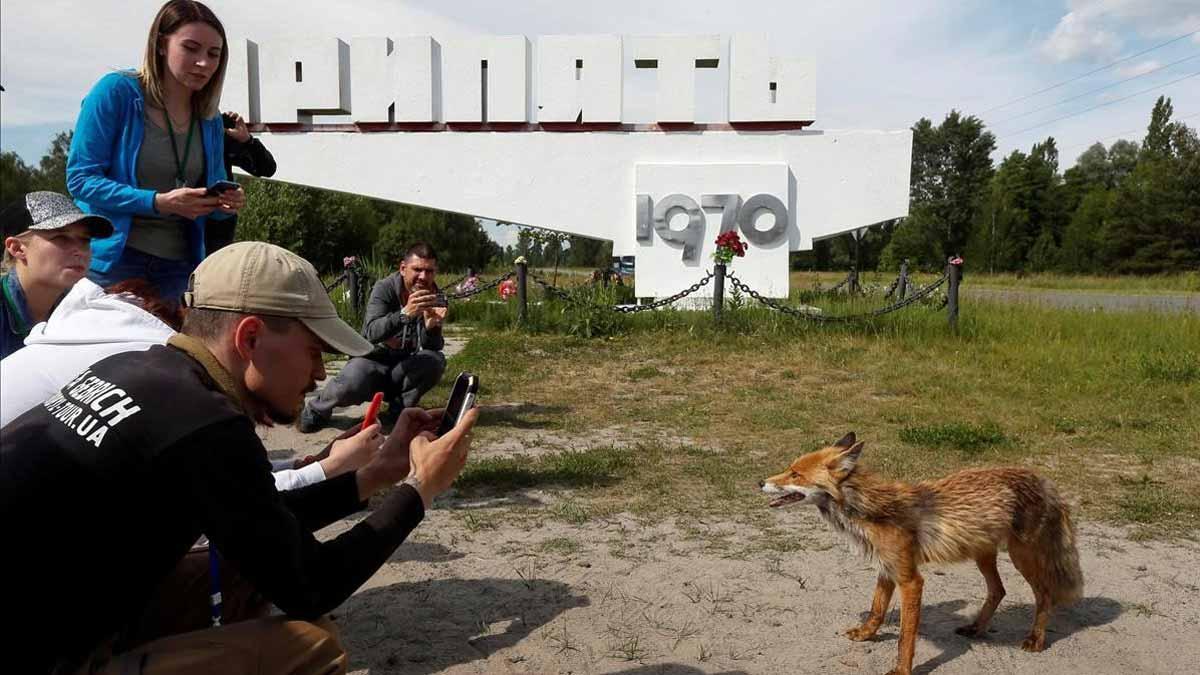 El éxito de series sobre Chernóbil o Alcàsser impulsa el llamado turismo oscuro. En la foto, turistas fotografían un zorro en el pueblo fantasma de Pripyat, cerca de Chernobyl.