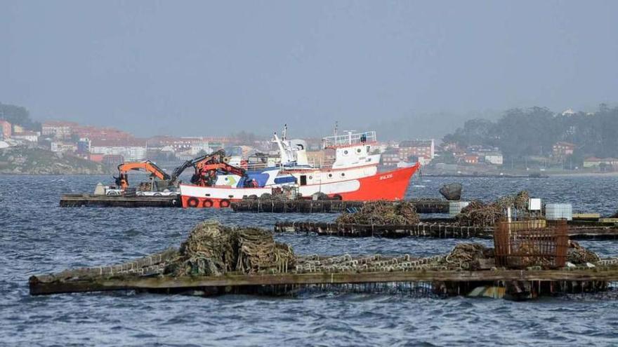 El episodio tóxico se acentúa en las bateas y se extiende a los bancos de marisqueo