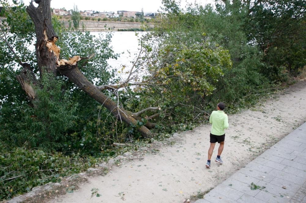 El huracán Leslie en Zamora