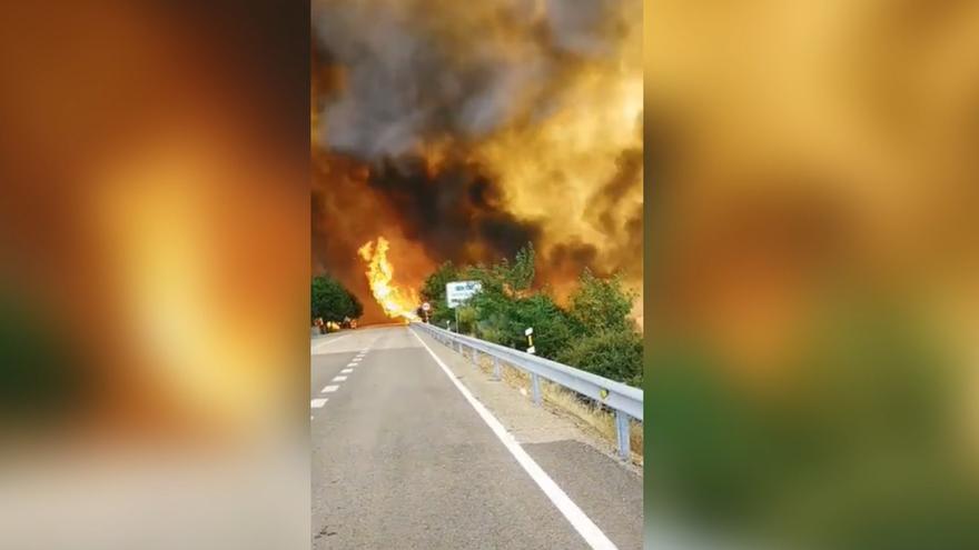 VÍDEO | El incendio de Casas de Miravete, en plena carretera