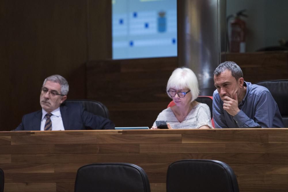 Intervención de la consejera María Jesús Álvarez sobre los daños de los lobos en la Junta