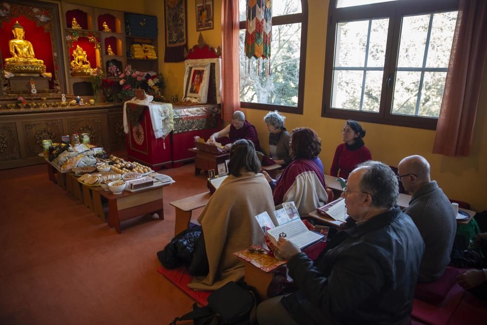 Benvinguda a l''any nou tibetà