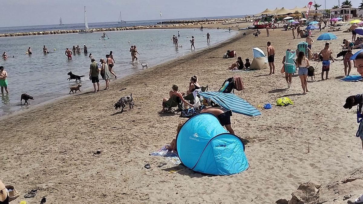 Foto de archivo de los bañistas y sus mascotas disfrutando de la playa y el mar en la escollera norte del puerto de Dénia.
