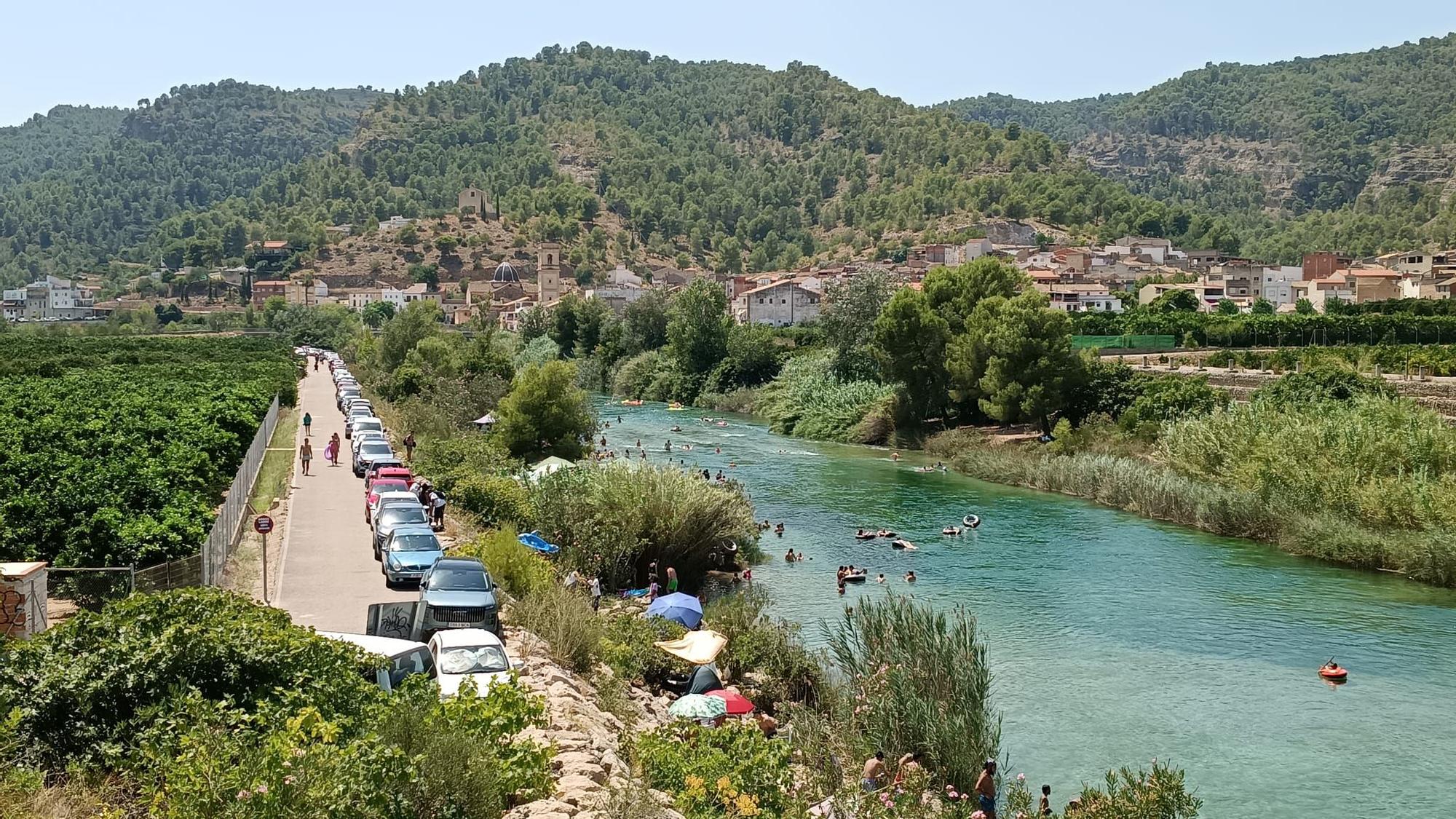 Vista del Xúquer entre Antella y Sumacàrcer, donde se concentran numerosos coches cada fin de semana.