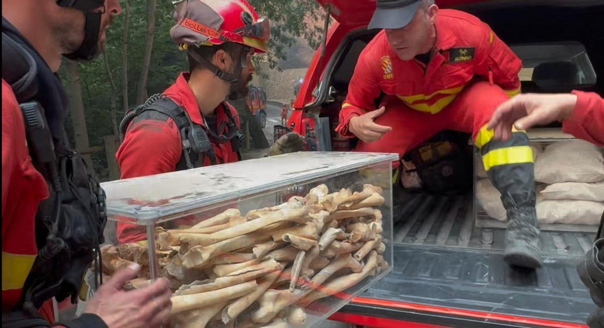 En imágenes | Así fue el traslado de los bienes del Monasterio viejo de San Juan de la Peña