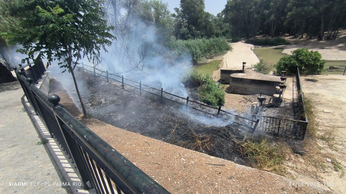 Estado en el que ha quedado parte de la zona afectada por el fuego.