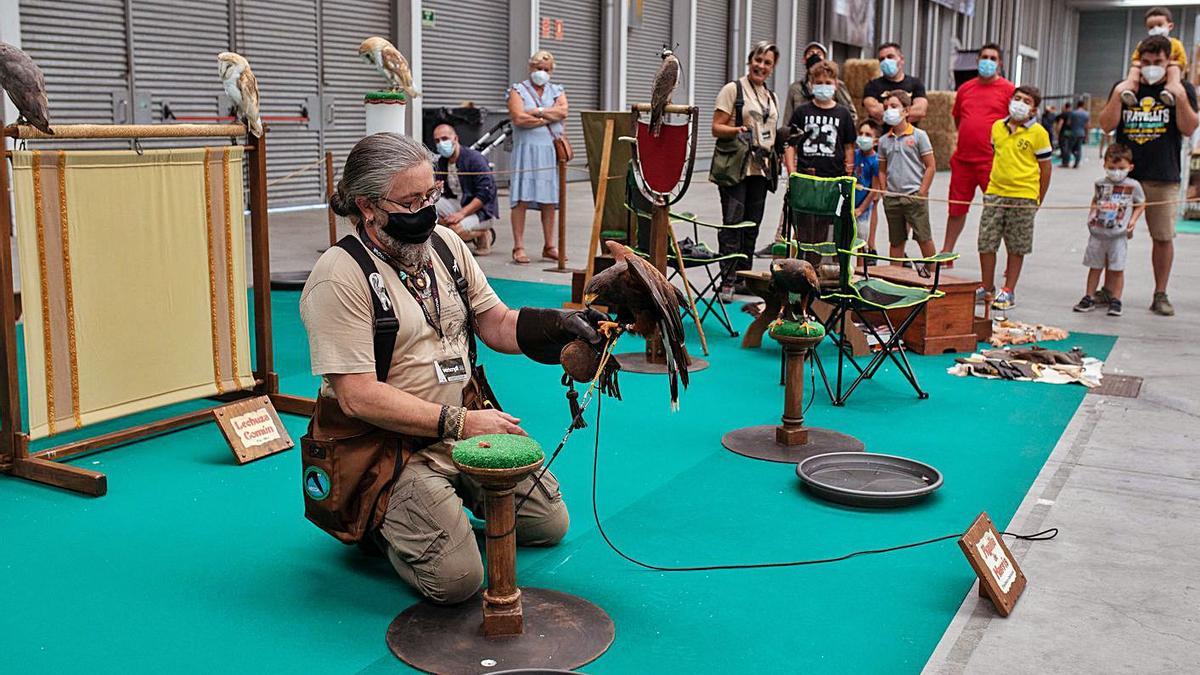 Un hombre realiza una muestra de cetrería en la Feria.