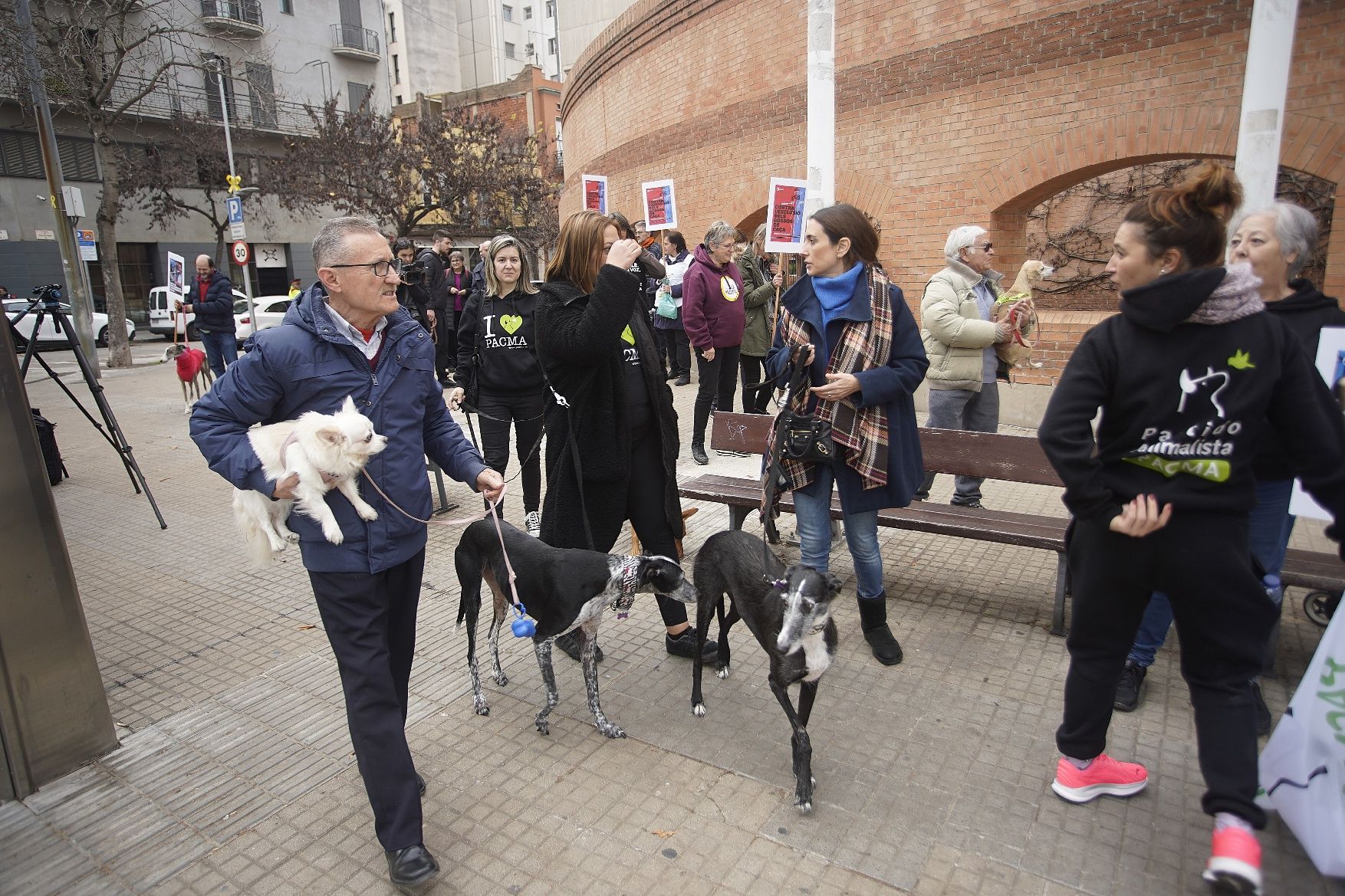 Concentracions del PACMA a Girona per reclamar incloure els gossos de caça a la llei de protecció animal