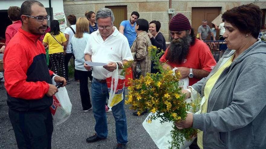 Recogida de hierbas para San Xoán. // R. Vázquez