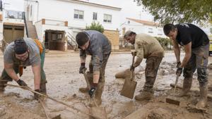 Els bacteris del llot ja proliferen pels residus i la humitat