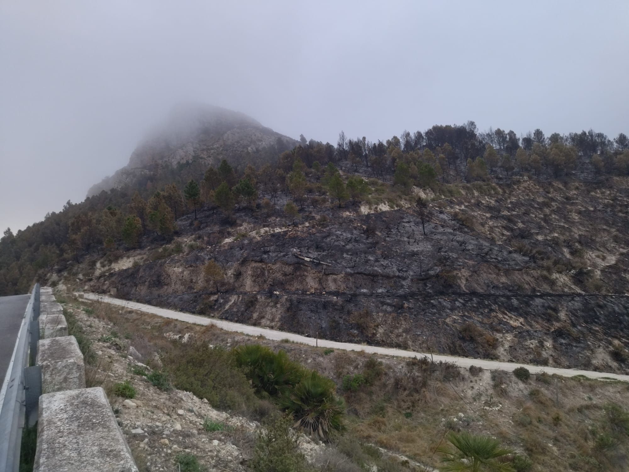 La destrucción del incendio de Tàrbena, en imágenes