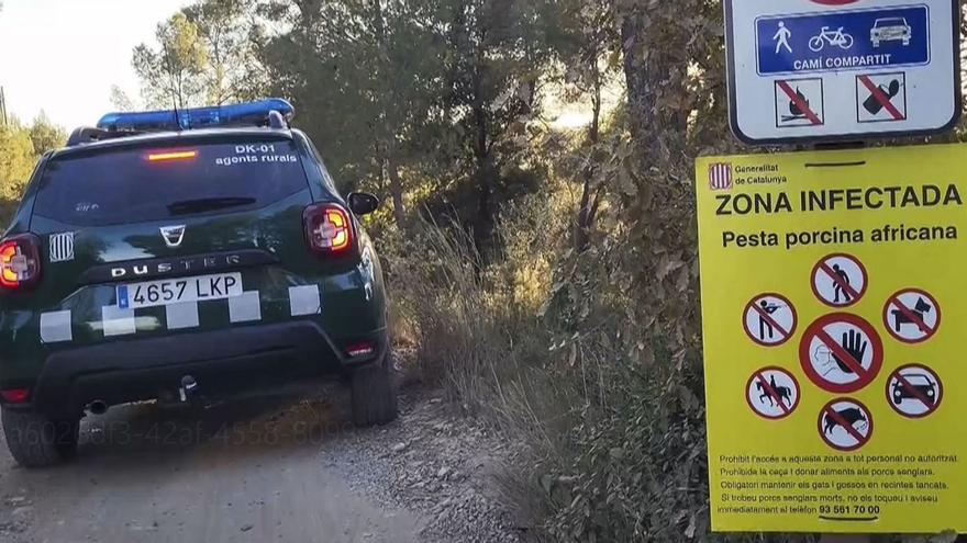 Cartel que avisa de la prohibición de entrar en la zona infectada. |  Efe