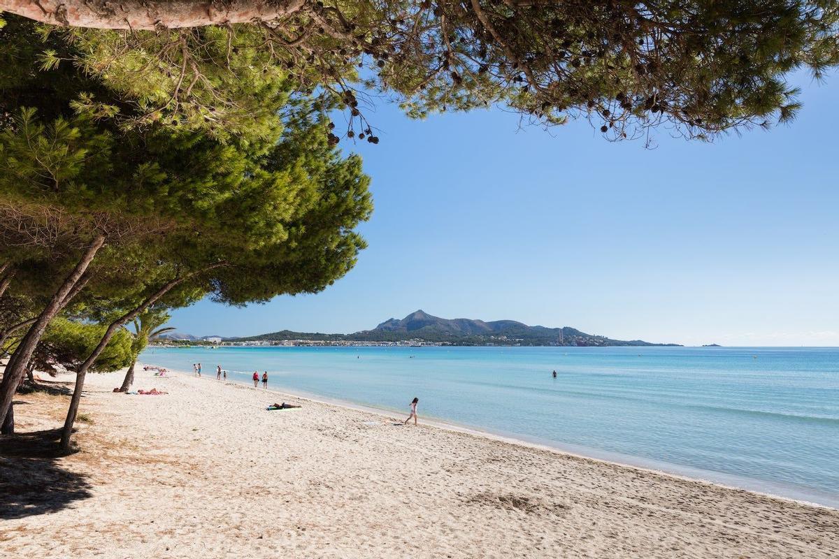 Playas de Alcúdia y Muro, Mallorca