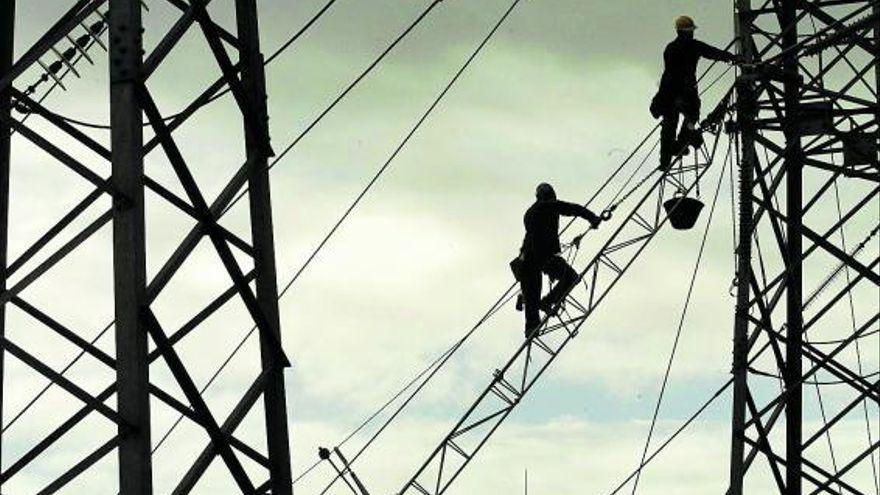 Trabajos de mantenimiento en altura de redes de Endesa.