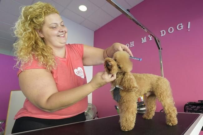 Spa y servicios de peluquería para perros