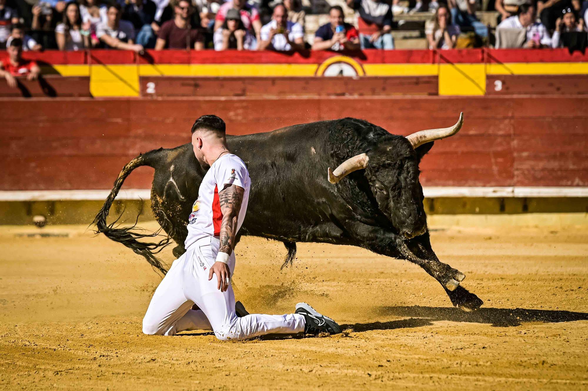 Final del campeonato de España de recortadores en Castelló