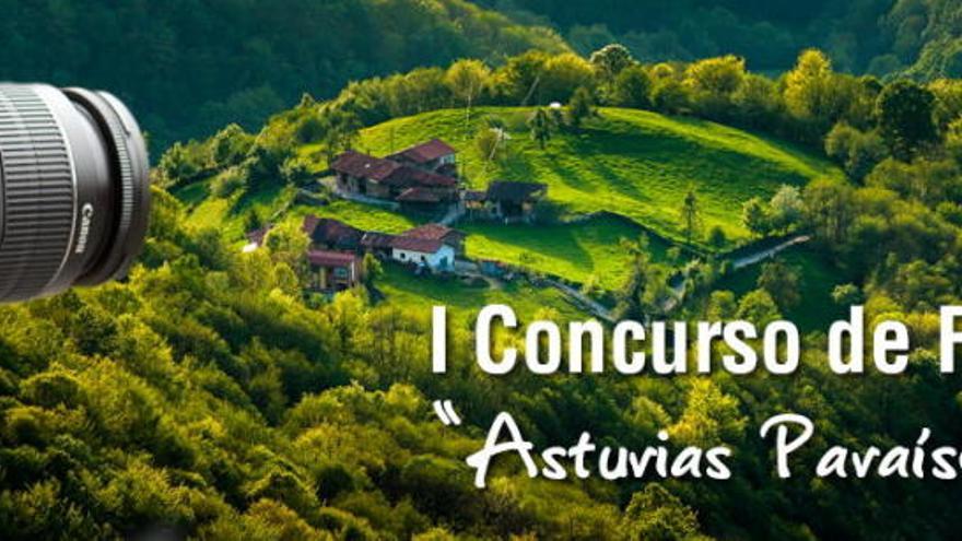 I Concurso de Fotografía Asturias Paraíso Natural