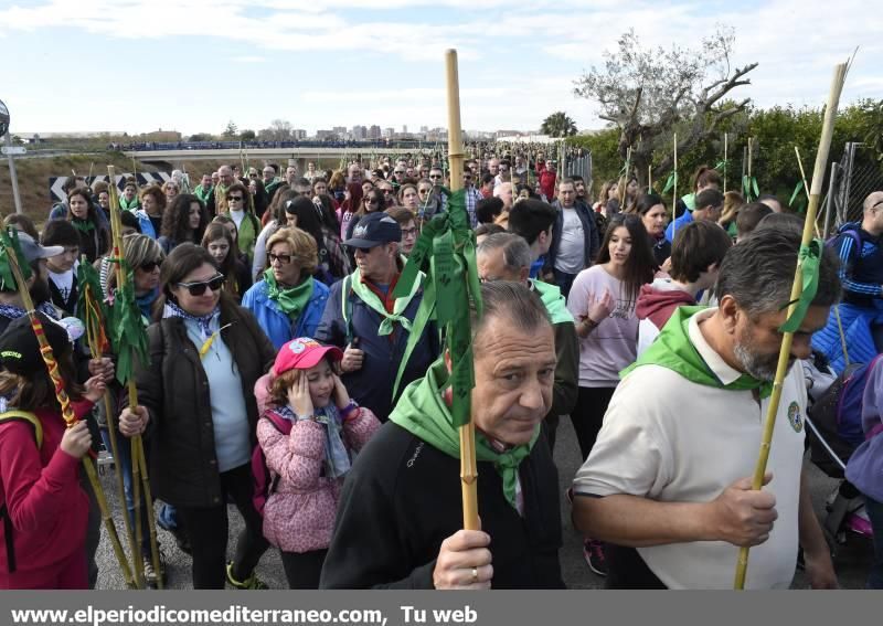 Romeria a la Magdalena 2016