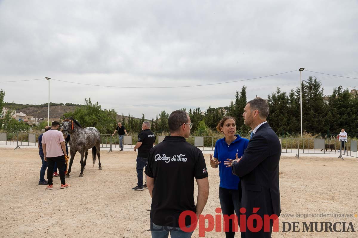 Control veterinario de los Caballos del Vino en Caravaca