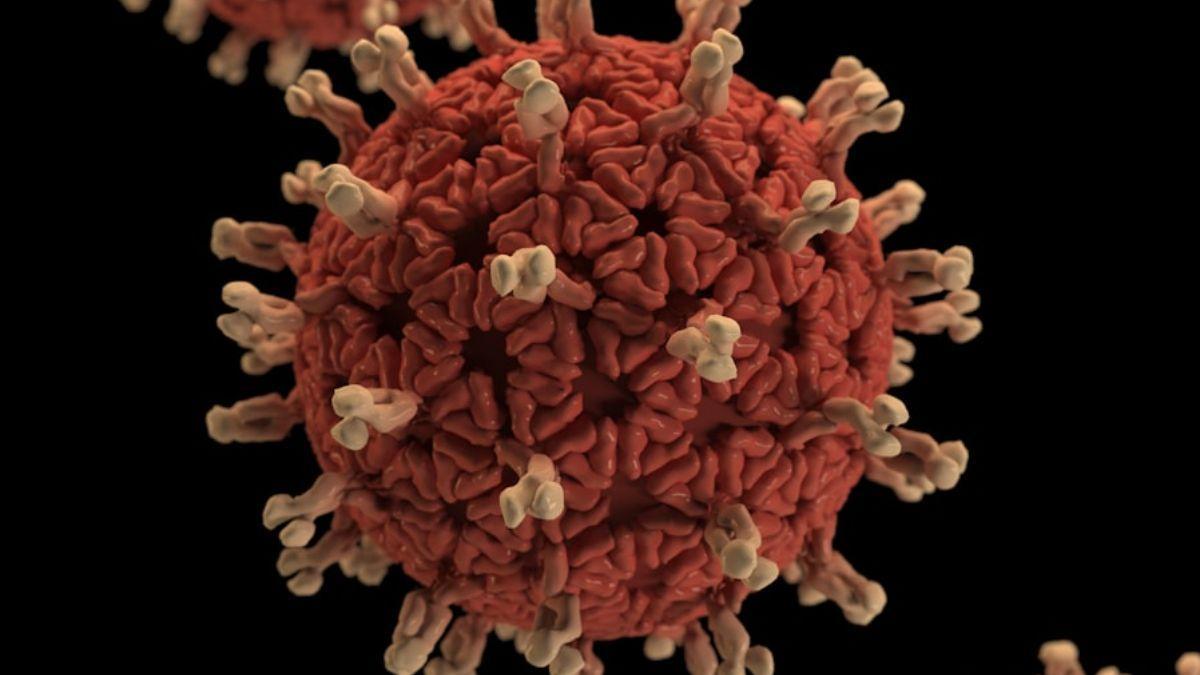 Un trasplante que “mezcla” el sistema inmune pudo revertir la diabetes en modelos animales.