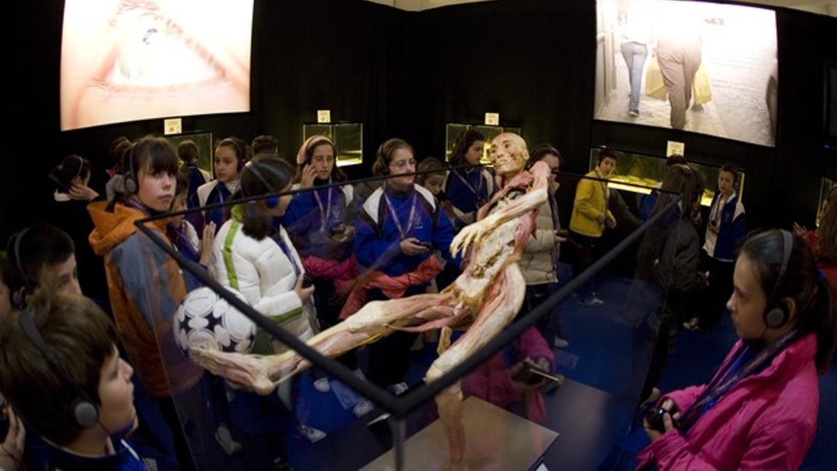 Estudiantes en la exposición 'Human Bodies', instalada en la cúpula del centro comercial Arenas de Barcelona.