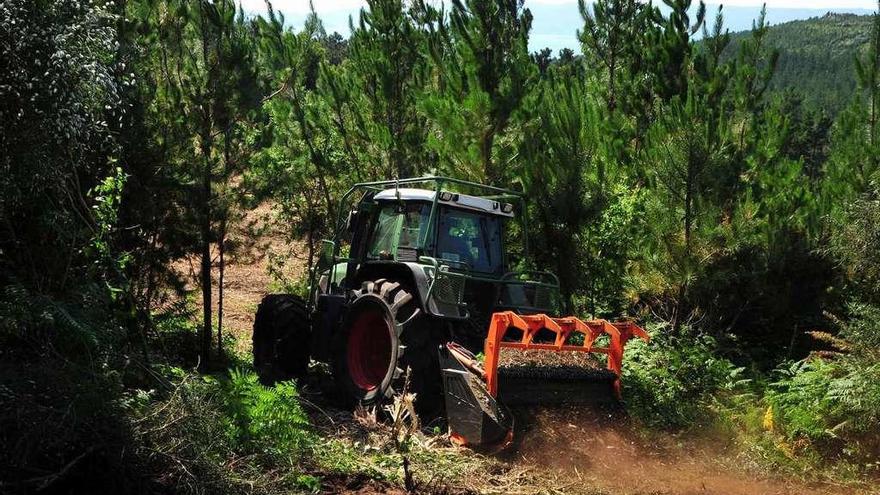 Un tractor realiza tareas de limpieza en un monte comunal.