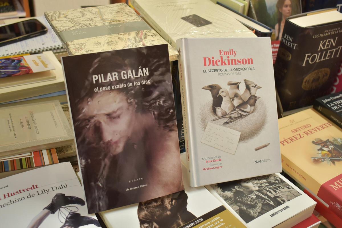 Imagen de un libro de Pilar Galán y un libro ilustrado por Esther García.