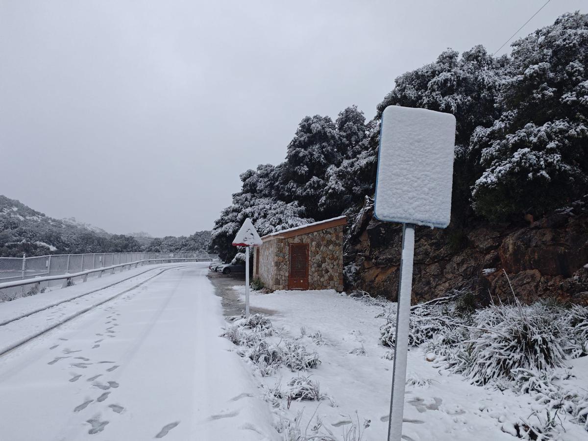 Nieve en Mallorca en plena primavera: “La mayor nevada en más de tres años”