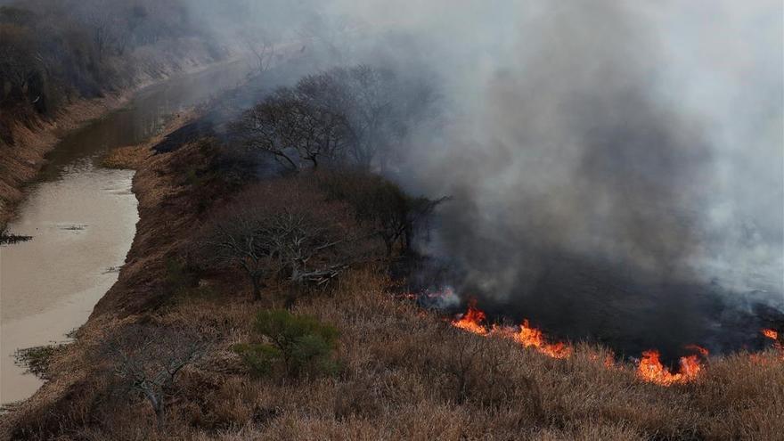 Alerta medioambiental en Argentina por la quema de 175.000 hectáreas