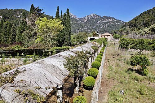 Die Kunsthistorikerin Júlia Ramon erklärt auf einem Rundgang durch die Jardins d’Alfàbia, aus welcher Zeit die Allee, die Wasserspiele und die Bäume stammen