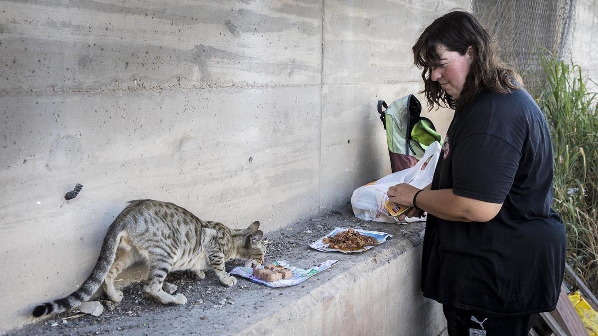 Carol García alimenta a un gato en una de las colonias del puerto.