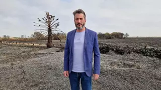 Podemos sospecha que la especulación inmobiliaria está detrás del "incendio ecocida" en la playa de La Hita
