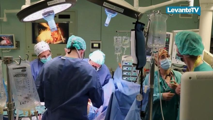 La Fe realiza 10 traspantes renales de donante vivos en el primer semestre del año