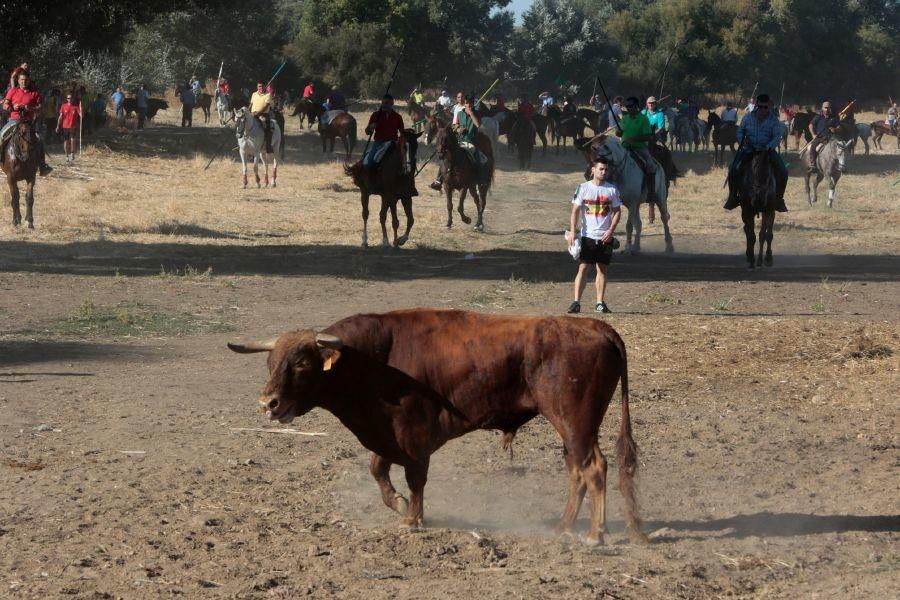 Encierro mixto en San Miguel de la Ribera