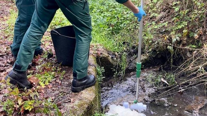 Investigados dos propietarios de una explotación ganadera por vertidos contaminantes en un monte de Vimianzo