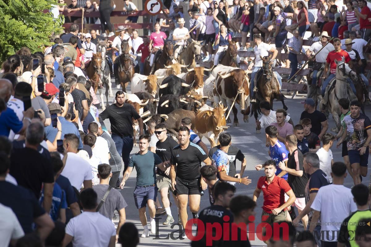 Quinto encierro de las Fiestas de Moratalla