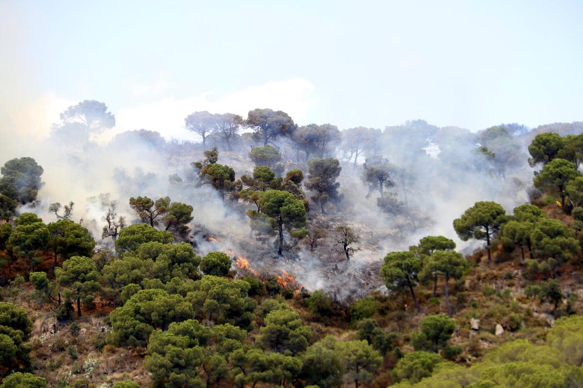 Flames de l'incendi de Castell d'Aro, el 2022