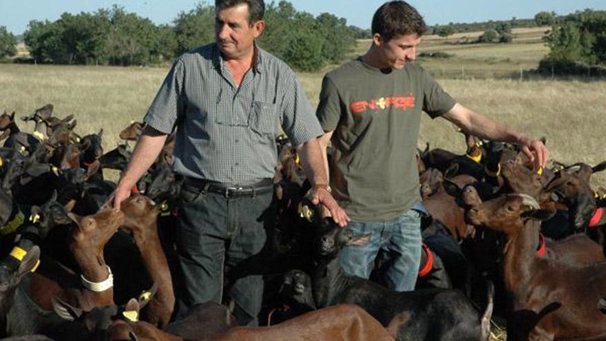 Santiago León junto a su hijo, los únicos ganaderos de caprino en la comarca de Tábara.