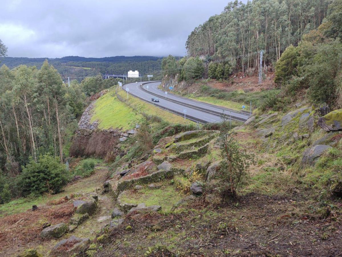 Las estructuras castreñas, sin maleza, este enero. | SANTOS ÁLVAREZ