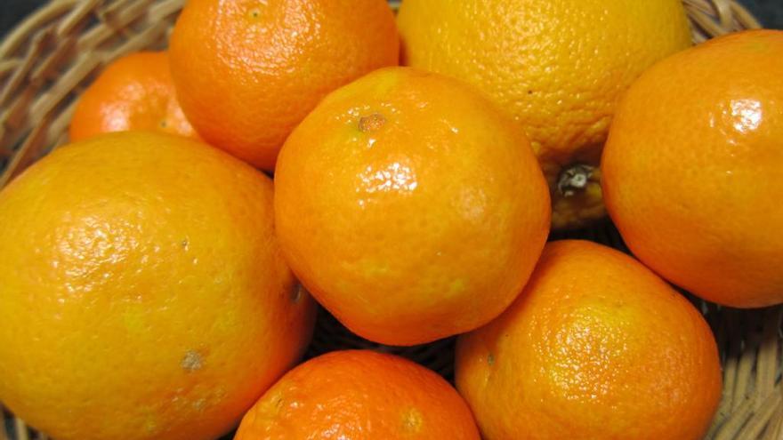 Carcaixent premiará a quien sea capaz de comerse más kilos de naranjas