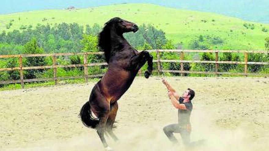 L’espectacle de doma natural en llibertat es farà a la zona del circuit | ARXIU PARTICULAR