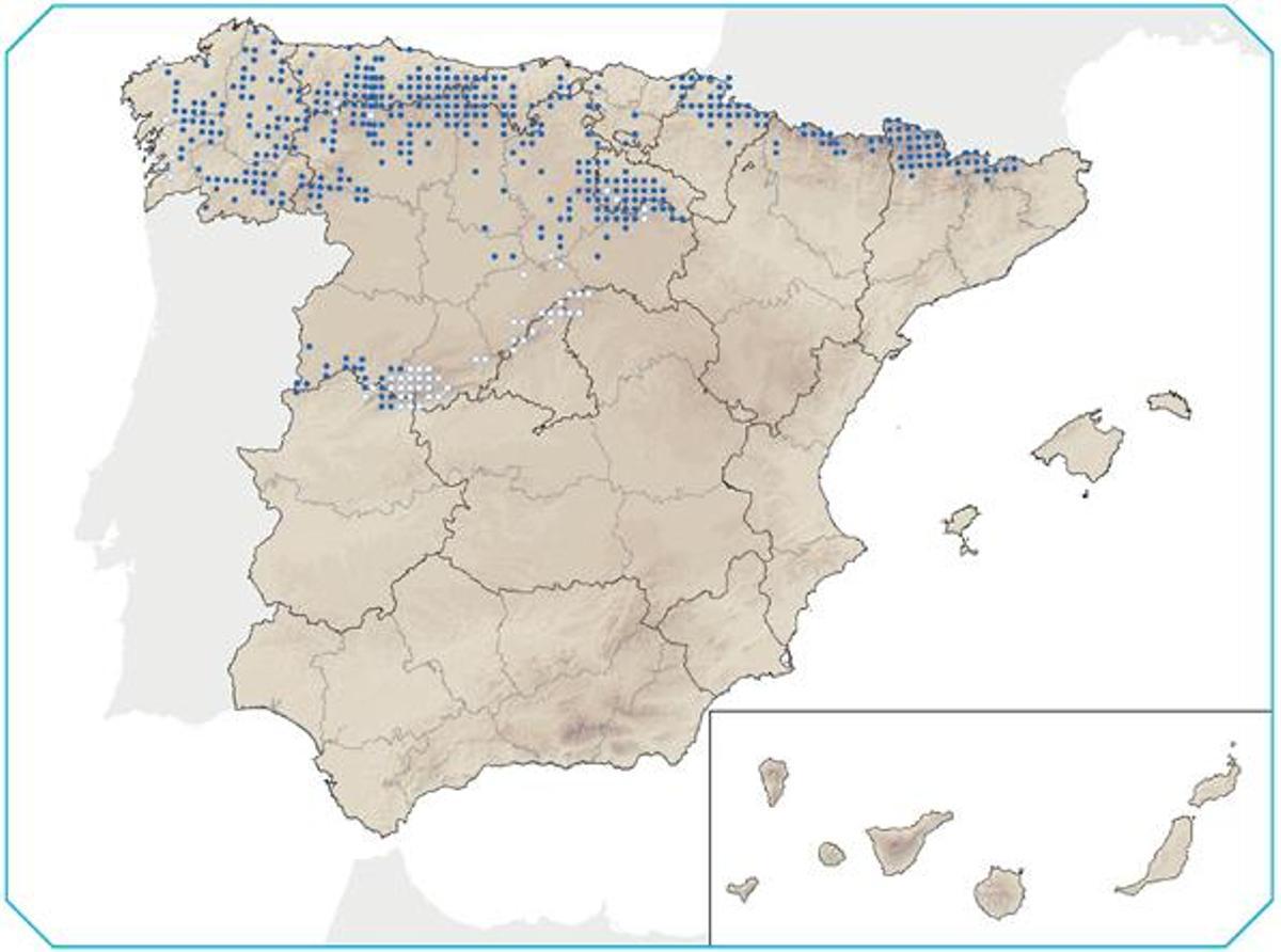 Área de distribución del desmán ibérico