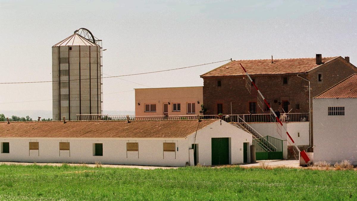 Gobierno, Generalitat y sector porcino se reúnen en Madrid por el brote de peste