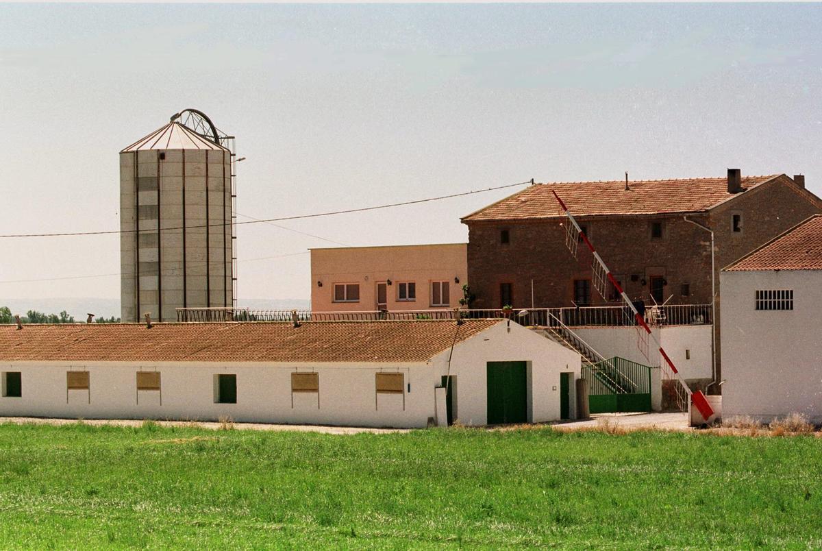 La Comissió enviarà veterinaris a Catalunya a supervisar les mesures contra la pesta porcina