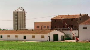 La Comissió enviarà veterinaris a Catalunya a supervisar les mesures contra la pesta porcina