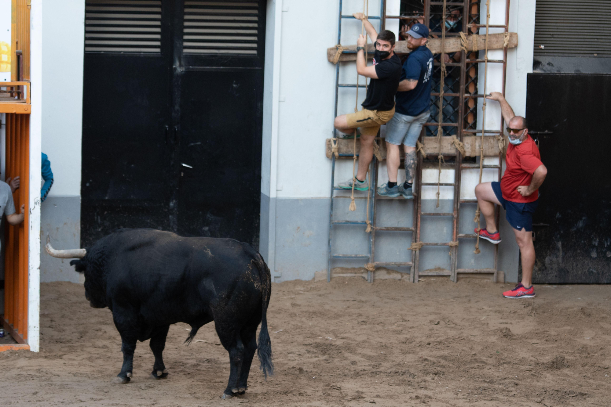 Tres aficionados esperan a que &#039;Potrero&#039; mueva ficha sobre el recinto de la Vila.