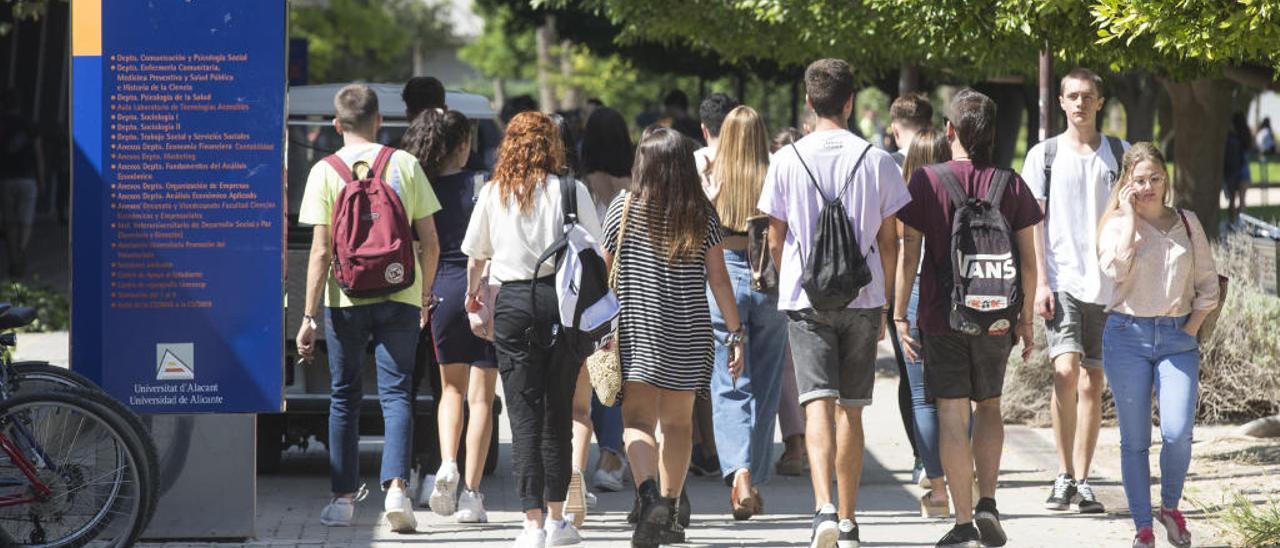 Estudiantes universitarios el primer día de este curso en el campus alicantino.